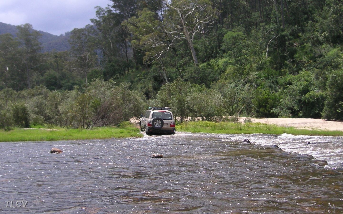 04-Manky keeps an eye on Dire Straights crossing the Snowy River.JPG